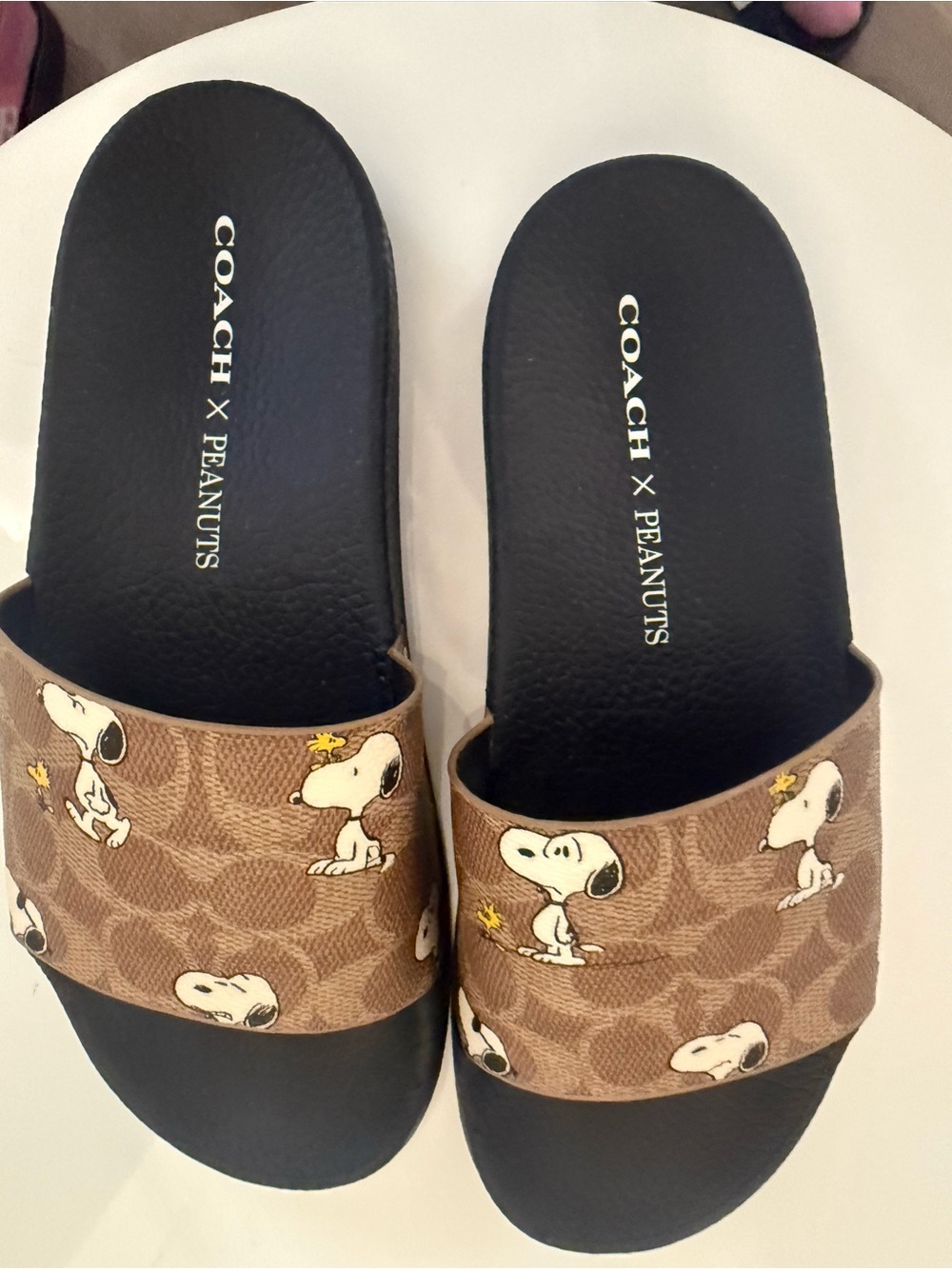 Coach Brown Logo Snoopy Print Slide Sandals - Picture 3 of 8